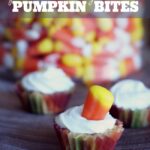 Quick and Easy Pumpkin Bites at anightowlblog.com | #pumpkin #thanksgiving #recipes