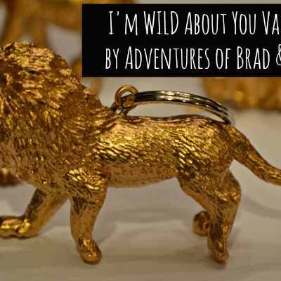 I'm WILD About You Valentines