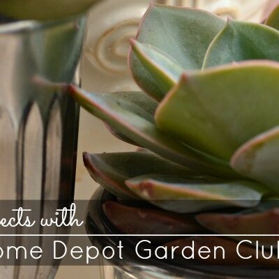 Home Depot Garden Club #DigIn
