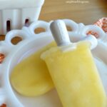 Sparkling Citrus Popsicles Recipes | #popsicle #recipes
