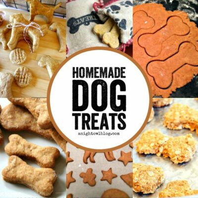 Such a fun list of homemade dog treats! Perfect for the pup in your life!
