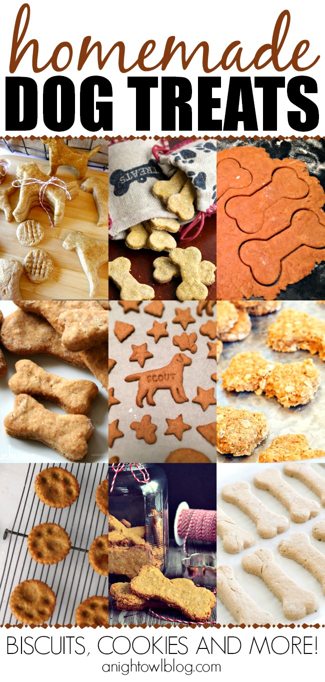 From Peanut Butter to Pumpkin, check out this fun list of homemade dog treats! Perfect for your furry friends!