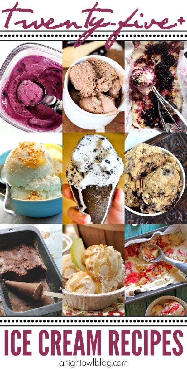 25+ Homemade Ice Cream Recipes - A Night Owl Blog