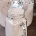 Homemade Hot Cocoa Mix | anightowlblog.com