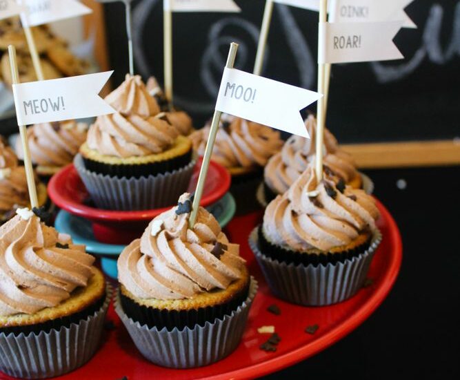 Chocolate Chip Cupcakes - fluffy chocolate chip cupcakes with milk chocolate frosting!