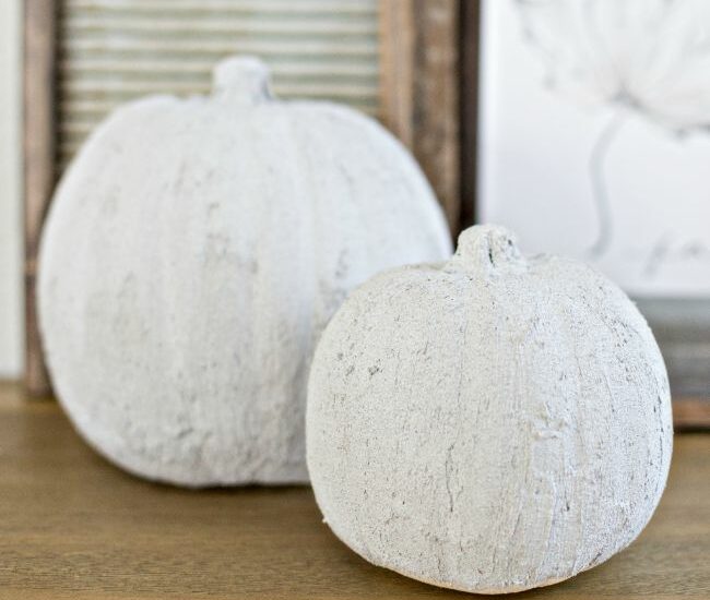 What a great hack! Create DIY Easy Concrete Pumpkins at home in just minutes - perfect for rustic or neutral fall decor!