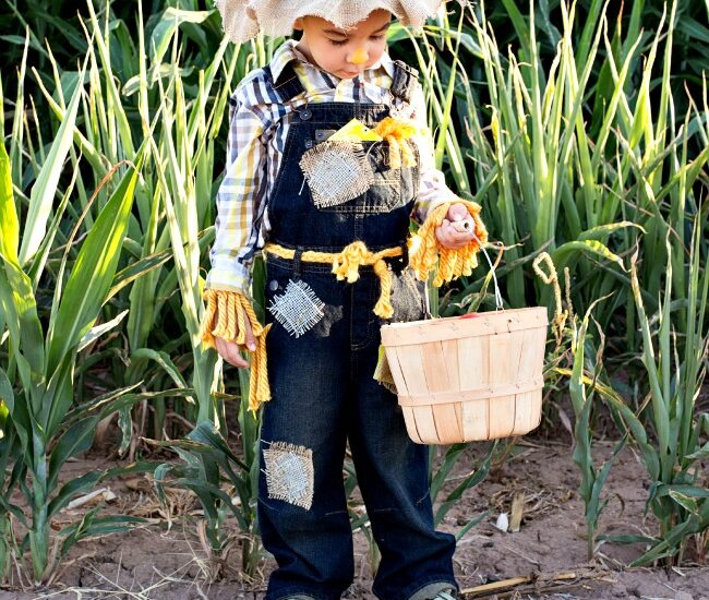 This Easy No Sew Scarecrow Costume is a breeze to make and is just oh so cute!