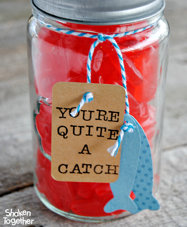Let your guy know that he is quite a catch with this easy Swedish Fish Valentine's Gift for Guys!