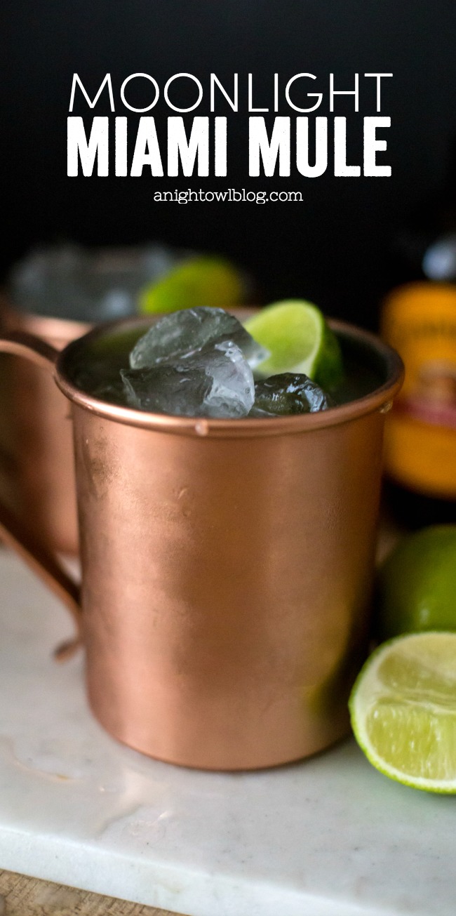 Inspired by Academy Awards Best Picture Nominee Moonlight, this Moonlight Miami Mule Cocktail is a delicious tropical twist on a classic mule and perfect for serving at your Oscars party this year!