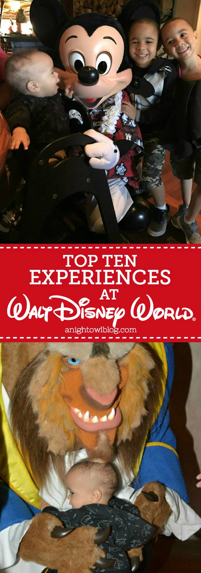 A fun list of Top Ten Experiences at Walt Disney World!