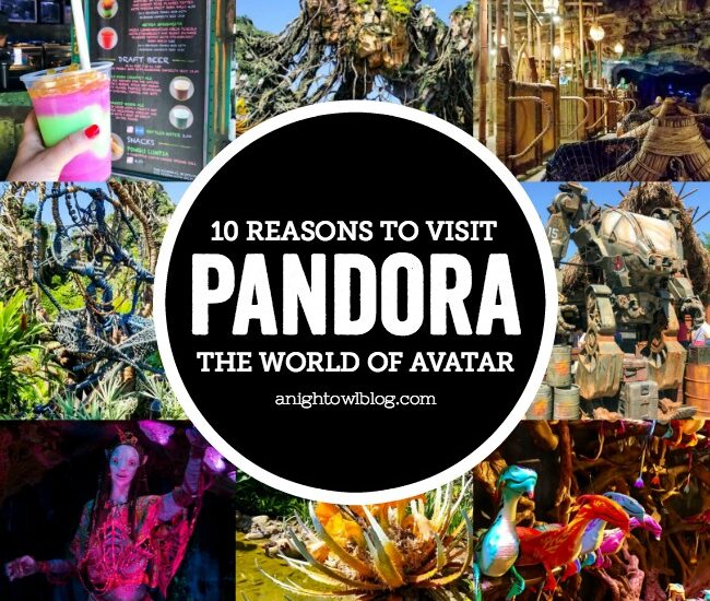 From the magical Floating Mountains to a mystical journey down the Na’vi River, we’re sharing 10 Reasons to Visit Pandora - The World of Avatar at Disney's Animal Kingdom! #VisitPandora