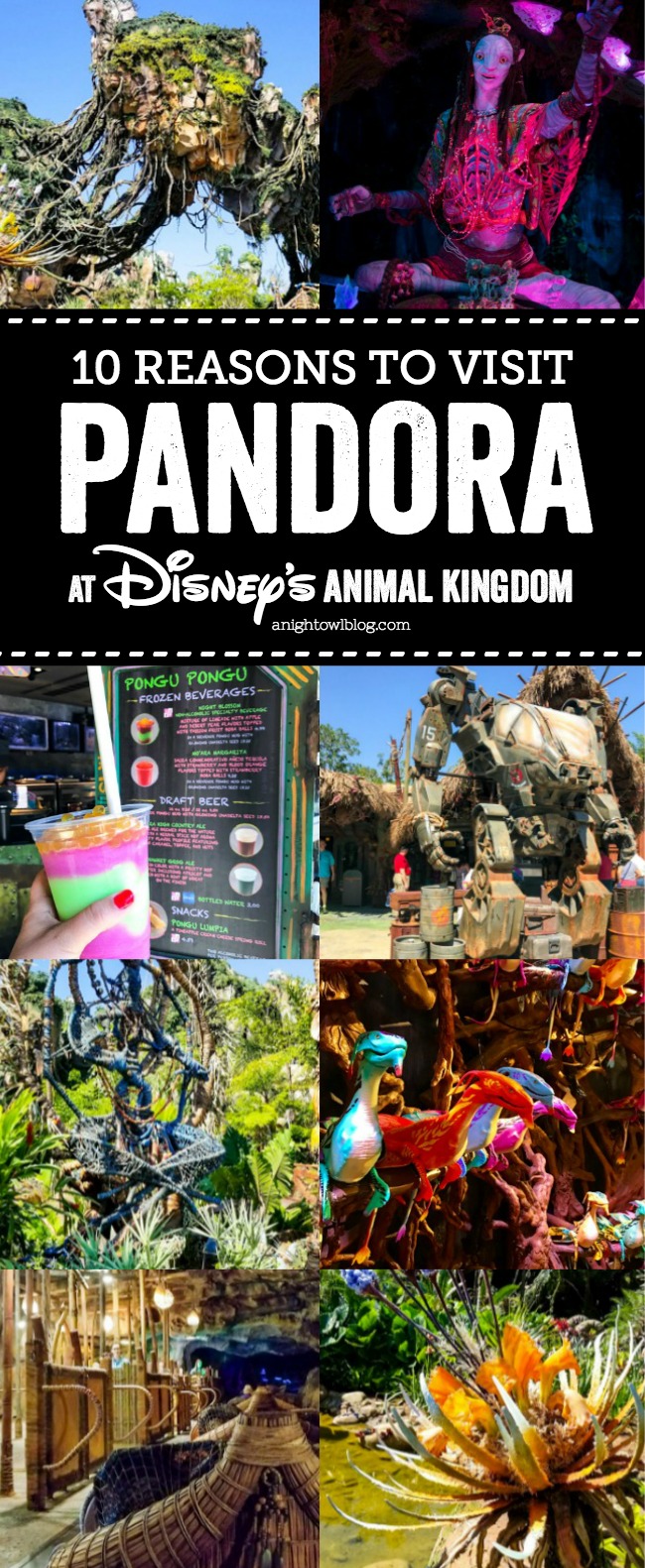 From floating mountains to flying banshees, discover 10 Reasons to #VisitPandora - The World of Avatar at Disney's Animal Kingdom!