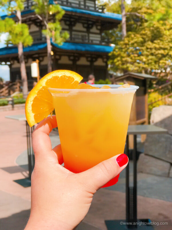 Guide to Drinking Around the World at EPCOT - A Night Owl Blog