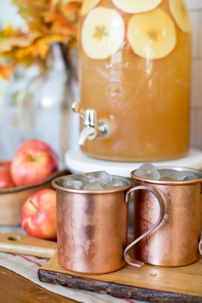 Spice up your fall with this delicious and easy to make Spiced Apple Rum Punch - featuring Bundaberg's new Spiced Ginger Beer! Perfect for fall entertaining!