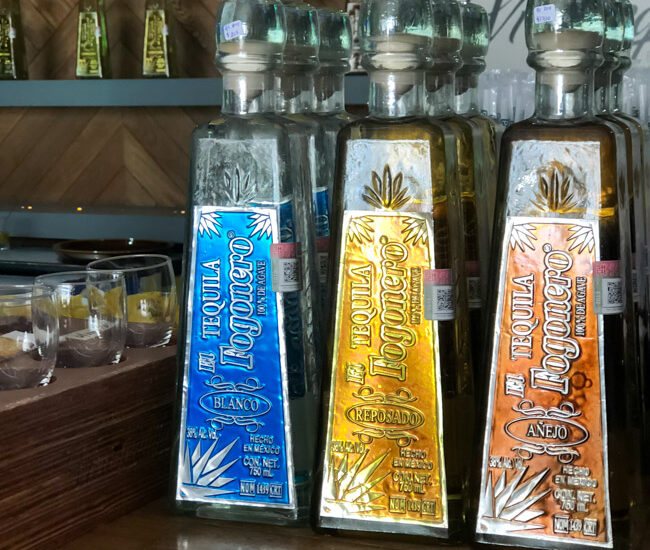 Looking for something fun to do during your cruise stop in Puerto Vallarta? Check out our thoughts on the Puerto Vallarta Shore Excursion: Tequila Show, Margarita Madness, Tasting & Tacos!