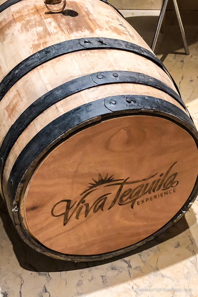 Looking for something fun to do during your cruise stop in Puerto Vallarta? Check out our thoughts on the Puerto Vallarta Shore Excursion: Tequila Show, Margarita Madness, Tasting & Tacos!