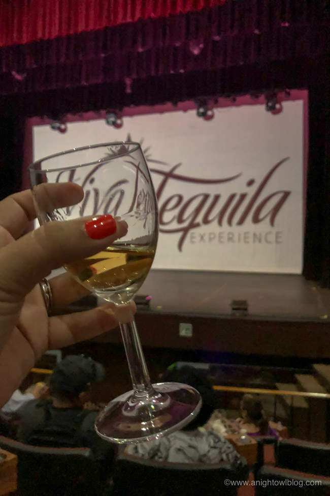 Looking for something fun to do during your cruise stop in Puerto Vallarta? Check out our thoughts on the Puerto Vallarta Shore Excursion: Tequila Show, Margarita Madness, Tasting & Tacos!