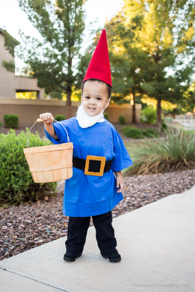 21+ Diy garden gnome costume info