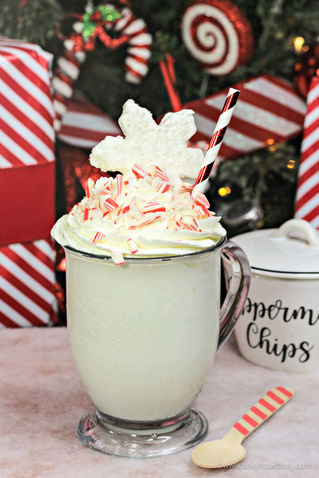 Perfect for chilly, winter nights, whip up some delicious, sweet and warm Candy Cane Hot Chocolate!