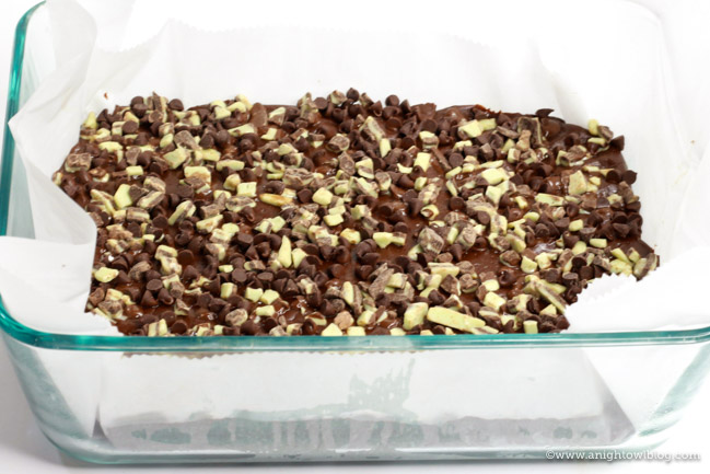 This Andes Mint Fudge Recipe is a delicious and easy treat perfect for the mint chocolate fan!