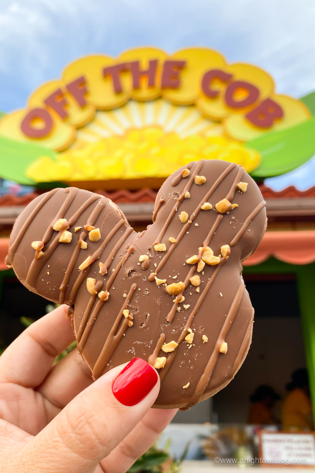 Mickey-shaped Caramel-Peanut-Milk Chocolate Macaron from Off the Cobb | From Mickey-Shaped Macarons to the Carbonara Garlic Mac & Cheese, there are so many great bites and brews to discover at the Disney California Adventure Food and Wine Festival!
