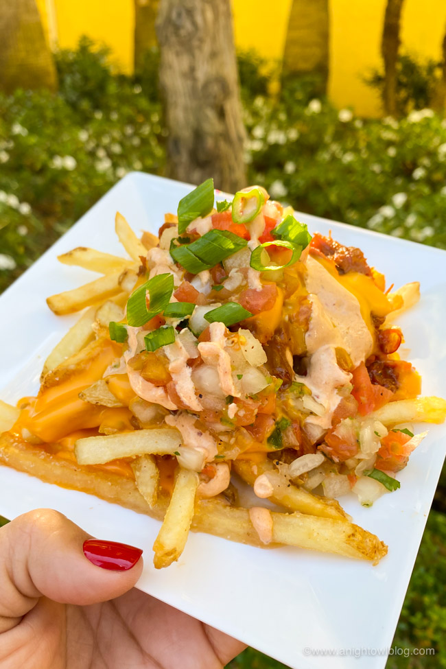 Brisket Fries from Paradise Garden Grill | From Mickey-Shaped Macarons to the Carbonara Garlic Mac & Cheese, there are so many great bites and brews to discover at the Disney California Adventure Food and Wine Festival!